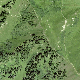 Satellite imagery of Piz las Palas, CH