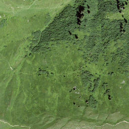 Satellite imagery of Bostg, CH