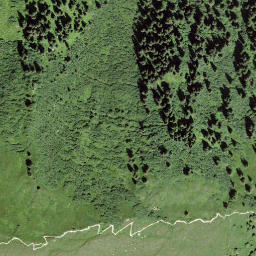 Satellite imagery of Bostg, CH