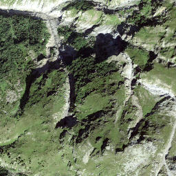 Satellite imagery of Crest da Cauras, CH