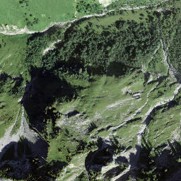 Satellite imagery of Schwidenegg, CH