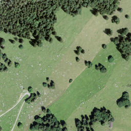 Satellite imagery of Wissenflüe, CH