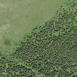 Satellite imagery of Bostg, CH