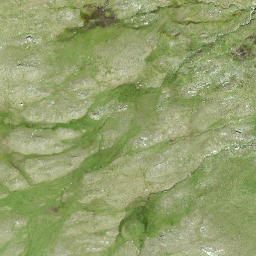 Satellite imagery of Grener Berg, CH