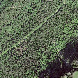 Satellite imagery of Dent de Vaulion, CH