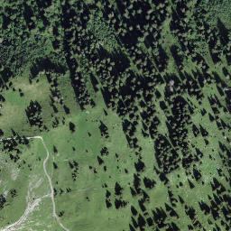 Satellite imagery of Nase, CH