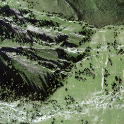 Satellite imagery of Schwidenegg, CH