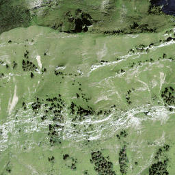 Satellite imagery of Schwidenegg, CH