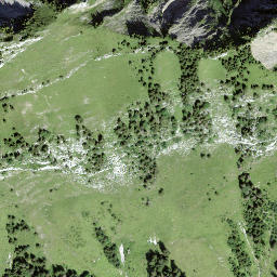 Satellite imagery of Schwidenegg, CH