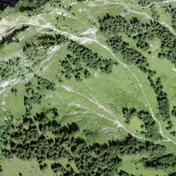 Satellite imagery of Schwidenegg, CH