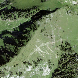Satellite imagery of Walpersbergflue, CH