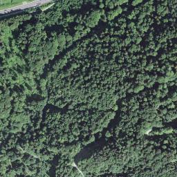 Satellite imagery of Schweifstettgrind, CH