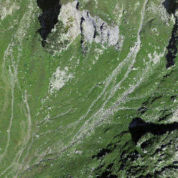 Satellite imagery of Homadgrätli, CH