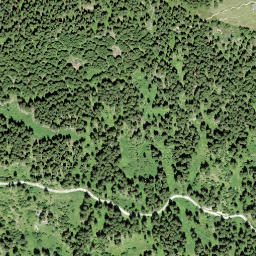 Satellite imagery of Bostg, CH