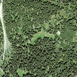 Satellite imagery of Bostg, CH