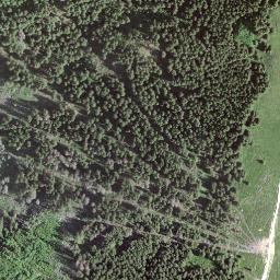Satellite imagery of La Berra, CH