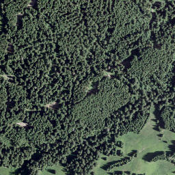 Satellite imagery of Spitzhubel, CH