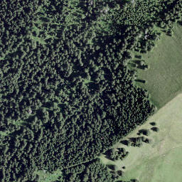 Satellite imagery of Spitzhubel, CH