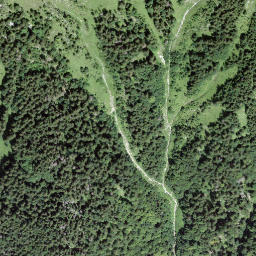 Satellite imagery of Schwidenegg, CH
