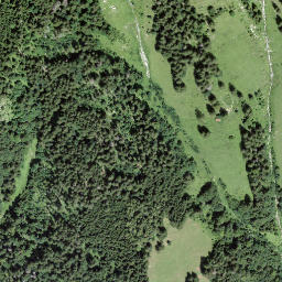 Satellite imagery of Schwidenegg, CH