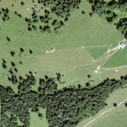 Satellite imagery of Schwidenegg, CH