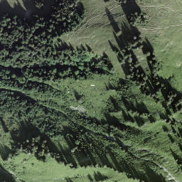 Satellite imagery of Looherehürli, CH