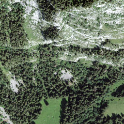 Satellite imagery of Walpersbergflue, CH