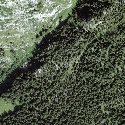 Satellite imagery of Walpersbergflue, CH