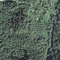 Satellite imagery of Schweifstettgrind, CH
