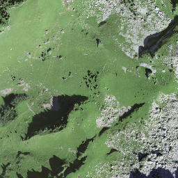 Satellite imagery of Roteflue, CH