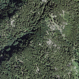 Satellite imagery of Männlisegg, CH