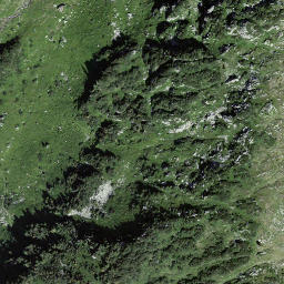 Satellite imagery of Homadgrätli, CH