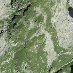 Satellite imagery of Homadstock, CH