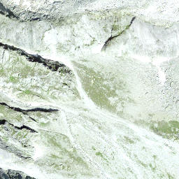 Satellite imagery of Gemschiplanggenstock, CH