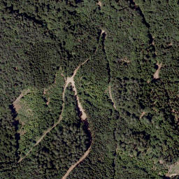 Satellite imagery of Frankenstein, AT
