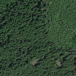 Satellite imagery of Palisades, US