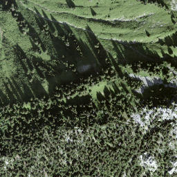 Satellite imagery of Looherehürli, CH