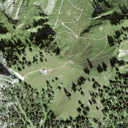 Satellite imagery of Looherehürli, CH