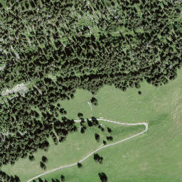 Satellite imagery of Mieschflue, CH