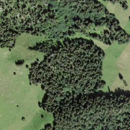 Satellite imagery of Mieschflue, CH