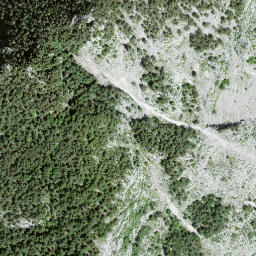 Satellite imagery of Grippelisattel, CH