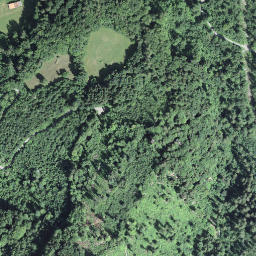 Satellite imagery of Haslerenegg, CH
