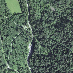 Satellite imagery of Haslerenegg, CH