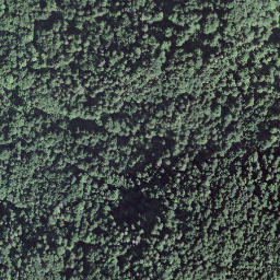 Satellite imagery of Hächlerspitz, CH