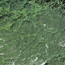 Satellite imagery of Schilt, CH