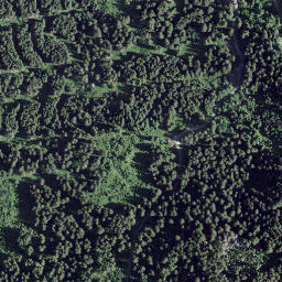 Satellite imagery of La Patta, CH