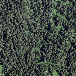 Satellite imagery of La Patta, CH
