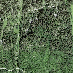 Satellite imagery of Looherehürli, CH