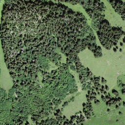 Satellite imagery of Looherehürli, CH