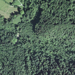 Satellite imagery of Haslerenegg, CH